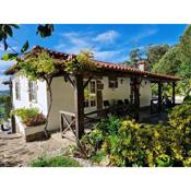 2 bedrooms villa with lake view private pool and enclosed garden at Vila Nova de Famalicao