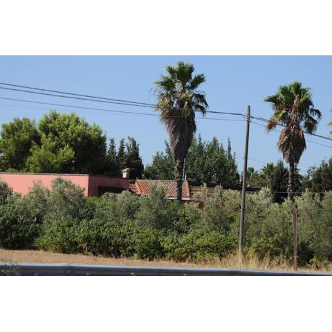 A 6 km da Porto Cesareo, la casa del carrubo