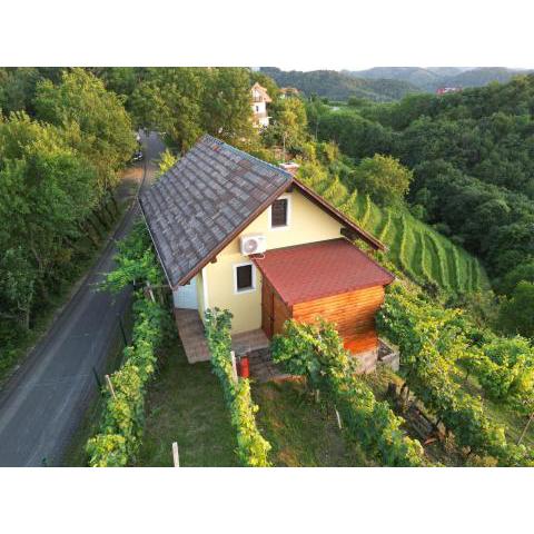 Adorable guesthouse in the middle of vineyards