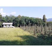 Agriturismo Cascina Bonetto