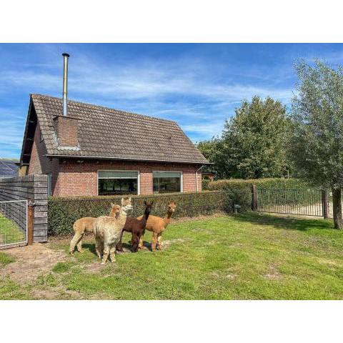 Alpacafarm Vorstenbosch