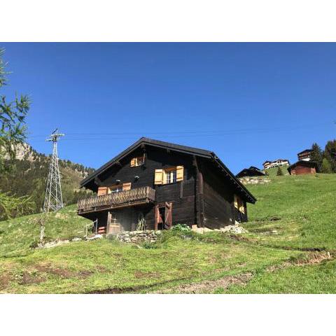 Alphütte Riederalp Planier in der Aletsch Arena