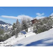 Alpine cottage with exceptional view