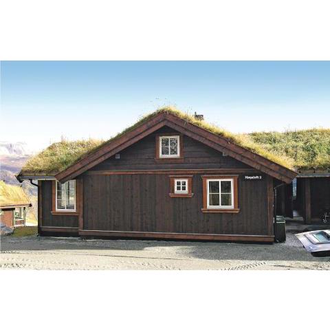 Amazing home in Hemsedal with 7 Bedrooms, Sauna and WiFi