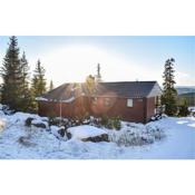 Amazing home in Sjusjøen with Sauna and 3 Bedrooms