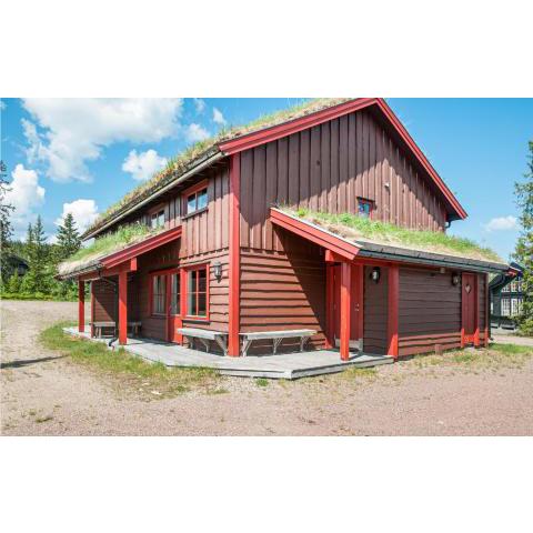 Amazing home in Trysil with 4 Bedrooms, Sauna and Internet