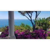 Amazing Villa seafront on Circeo Mountain