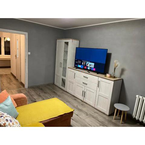 Apartament 75 w Centrum! Okulickiego!