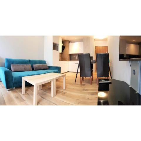 Apartament B&F Poznań Business & Family Nałkowskiej