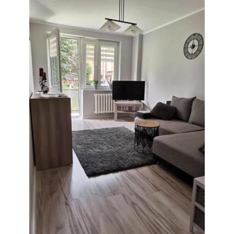 Apartament Pionierska