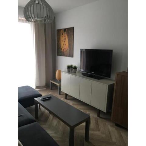 Apartament Śnieżny