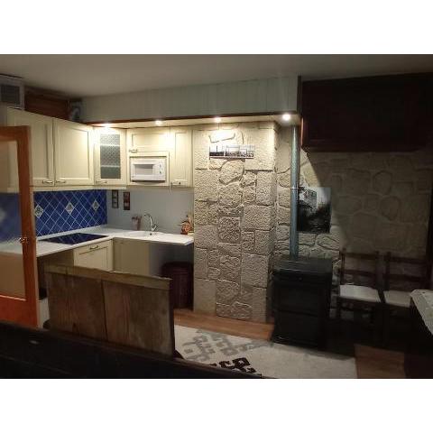 Apartamento Selva Blanca 9