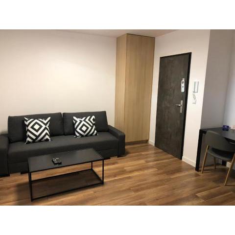 Apartamenty Platinex 6