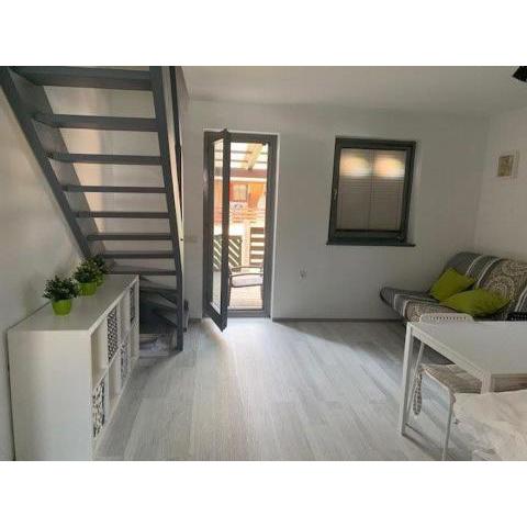 APARTMA ŽIVA Hiška 92