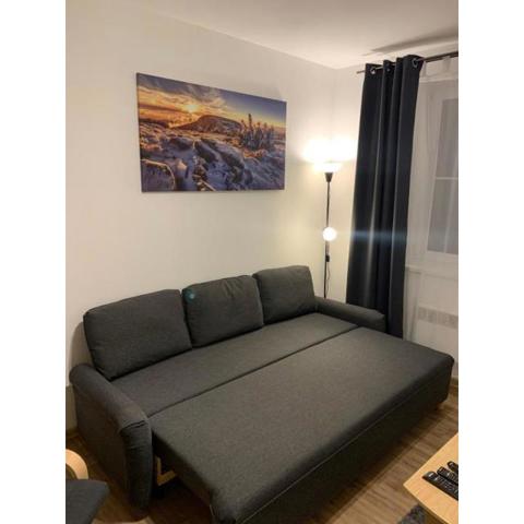 Apartmán Horní Mísečky