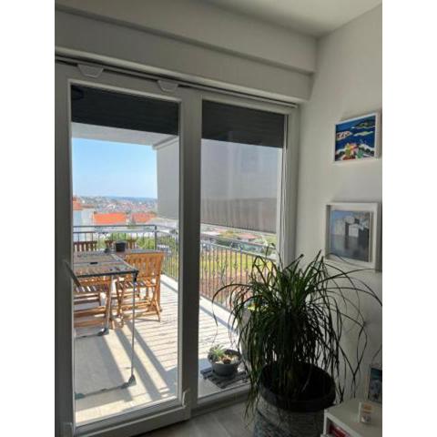 Apartman Jelena