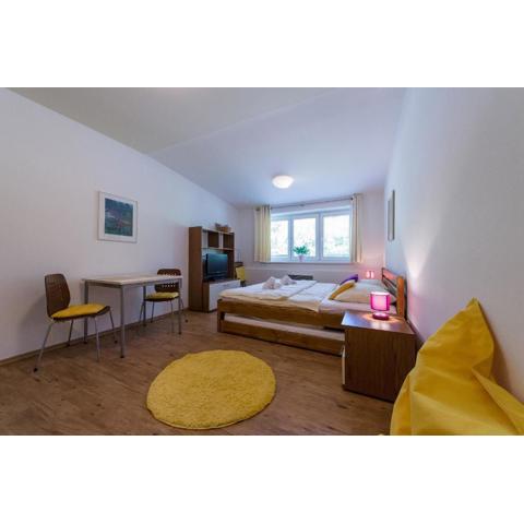 Apartmán Lipno 20