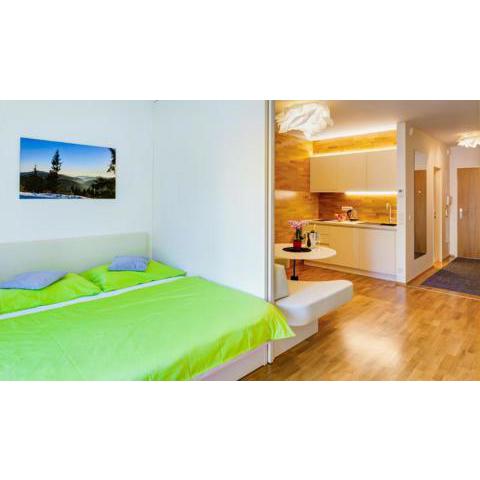 Apartman Medvědín 306