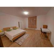 APARTMAN TRSAT