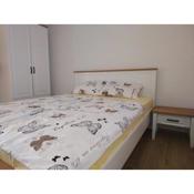 Apartman Vuletić