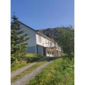 Apartment at Lofoten. Mølnarodden.