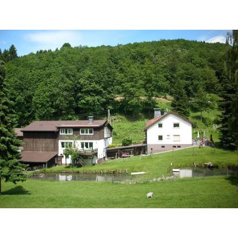 Apartment in Bruchhausen right on the fishing river