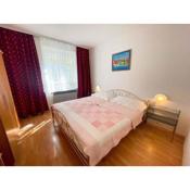 Apartment in Jadranovo 42074