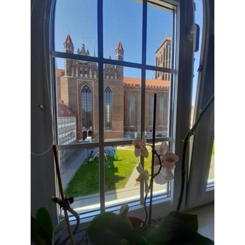 Apartment in Old Town - view of Mariacki Church