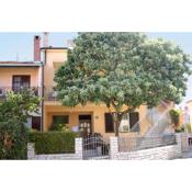 Apartment in Rovinj/Istrien 11533