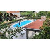 Apartments Ankica - pool & garden