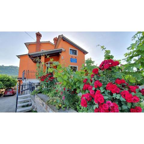 Apartments between Vineyards & Sea