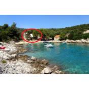 Apartments by the sea Cove Milna - Zastrazisce, Hvar - 8951