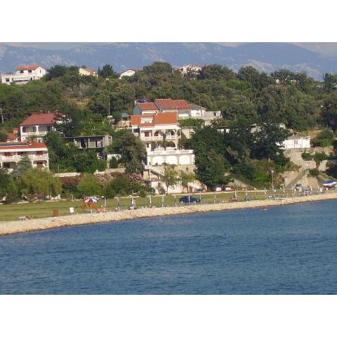 Apartments by the sea Lopar, Rab - 12534