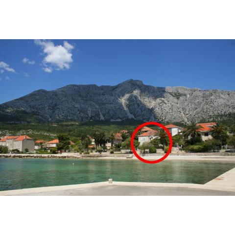 Apartments by the sea Orebic, Peljesac - 251