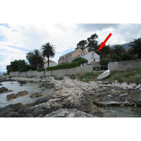 Apartments by the sea Orebic, Peljesac - 4521