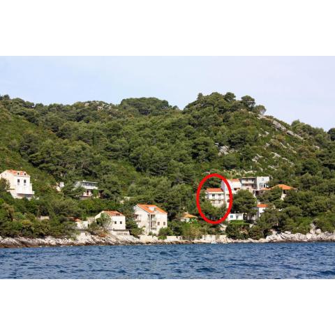 Apartments by the sea Sobra, Mljet - 4908