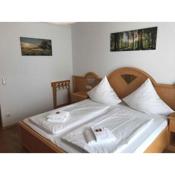 Apartments in Hohenwarth - Bayerischer Wald 42034