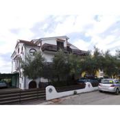 Apartments in Novigrad/Istrien 31220