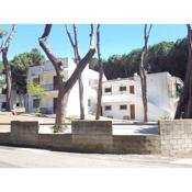 Apartments in Rosolina Mare 25084