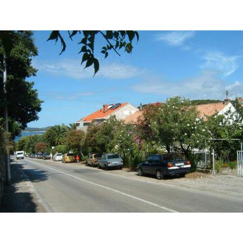 Apartments with a parking space Dubrovnik - 17040