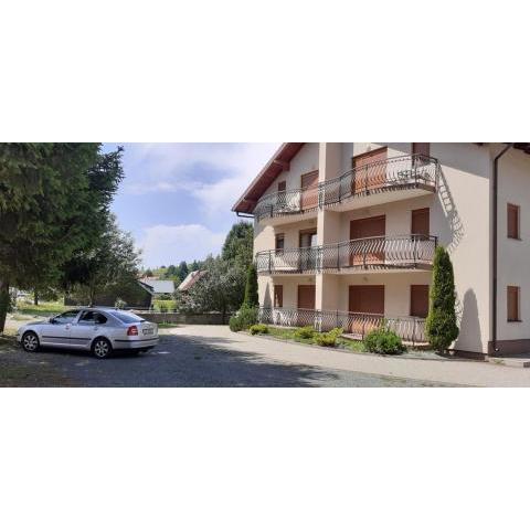 Apartments with a parking space Fuzine, Gorski kotar - 19537