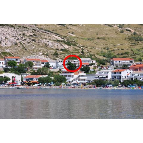 Apartments with a parking space Metajna, Pag - 6423