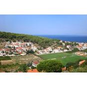 Apartments with a parking space Postira, Brac - 765