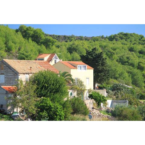 Apartments with a swimming pool Rukavac, Vis - 8851