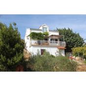 Apartments with WiFi Milna, Brac - 5678