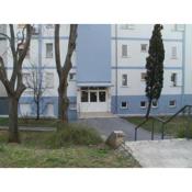 Apartments with WiFi Rijeka - 17761