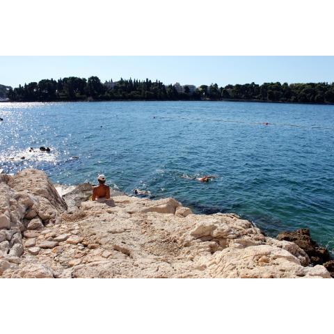 Apartments with WiFi Rovinj - 13454