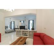 Apollonas Luxurious Apartments