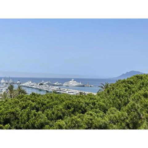 Appartement 2 suites Cannes Croisette