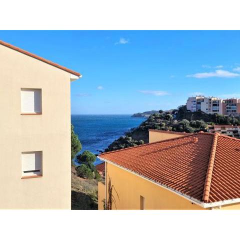 Appartement Banyuls-sur-Mer, 4 pièces, 6 personnes - FR-1-309-359